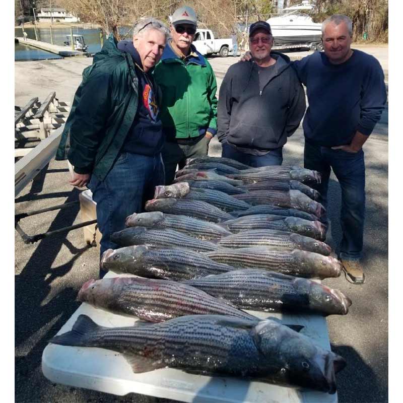 AHQ INSIDER Clarks Hill (GA/SC) 2022 Week 12 Fishing Report – Updated March 25