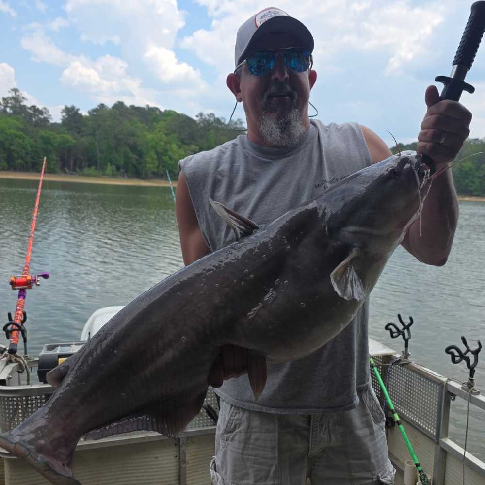 A beautiful blue cat caught with Captain Chris Simpson