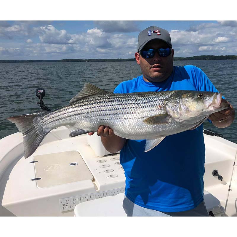 AHQ INSIDER Clarks Hill (GA/SC) Summer 2021 Fishing Report – Updated June 23