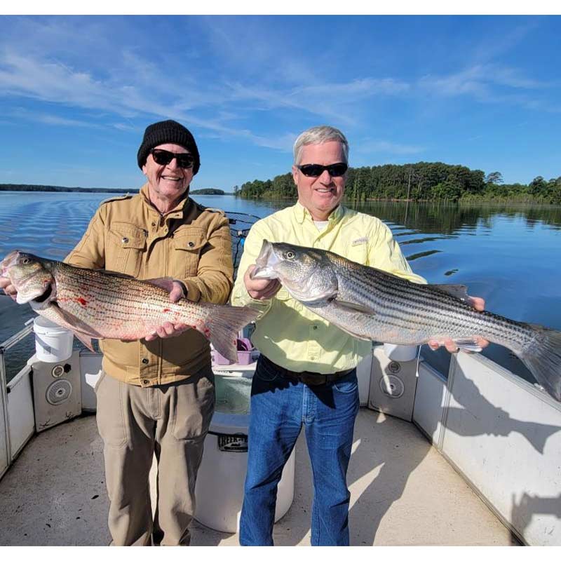 AHQ INSIDER Clarks Hill (GA/SC) 2023 Week 21 Fishing Report – Updated May 25