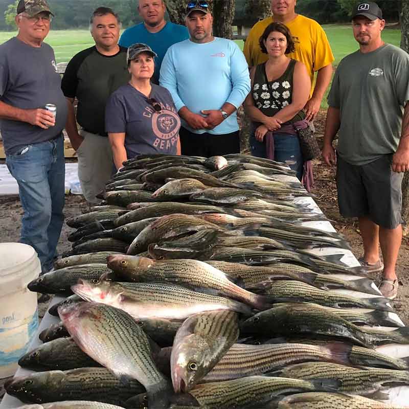 AHQ INSIDER Clarks Hill (GA/SC) Summer 2021 Fishing Report – Updated September 2