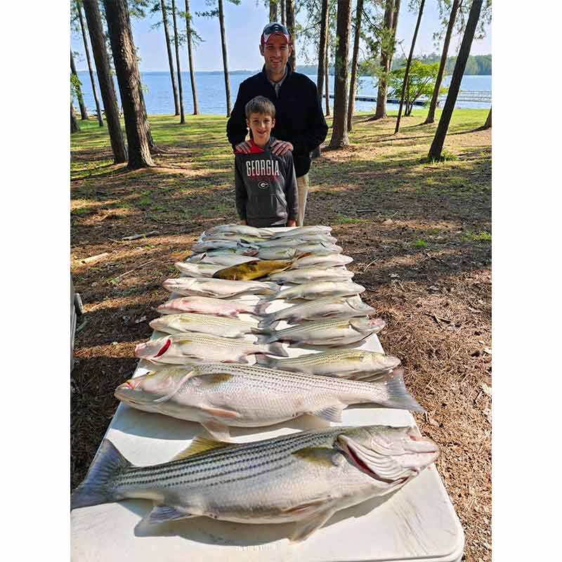 AHQ INSIDER Clarks Hill (GA/SC) 2023 Week 22 Fishing Report – Updated June 1