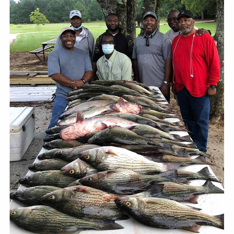 AHQ INSIDER Clarks Hill (GA/SC) Fall 2021 Fishing Report – Updated September 17