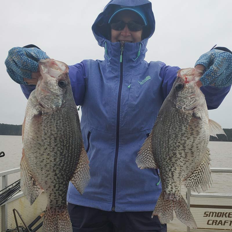 AHQ INSIDER Clarks Hill (GA/SC) Spring Fishing Report – Updated March 13