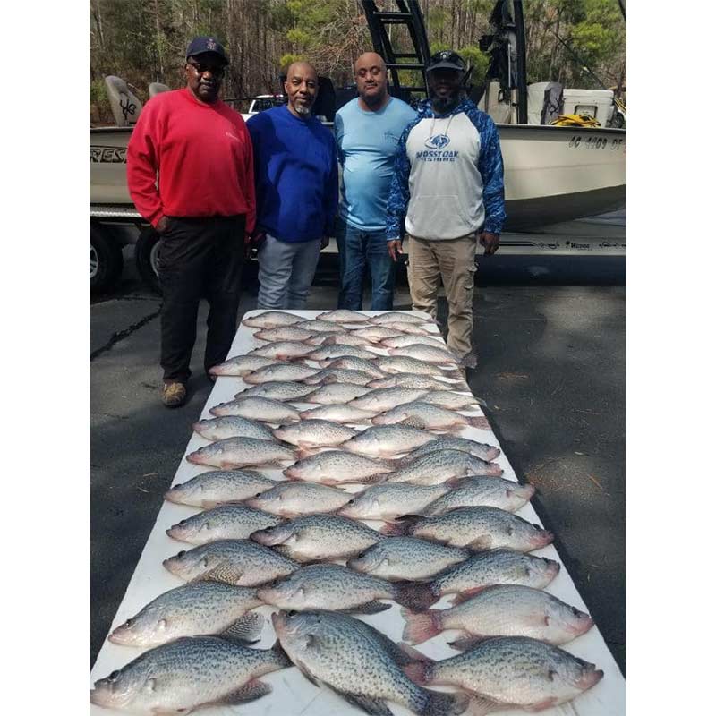 AHQ INSIDER Clarks Hill (GA/SC) 2022 Week 46 Fishing Report – Updated November 18