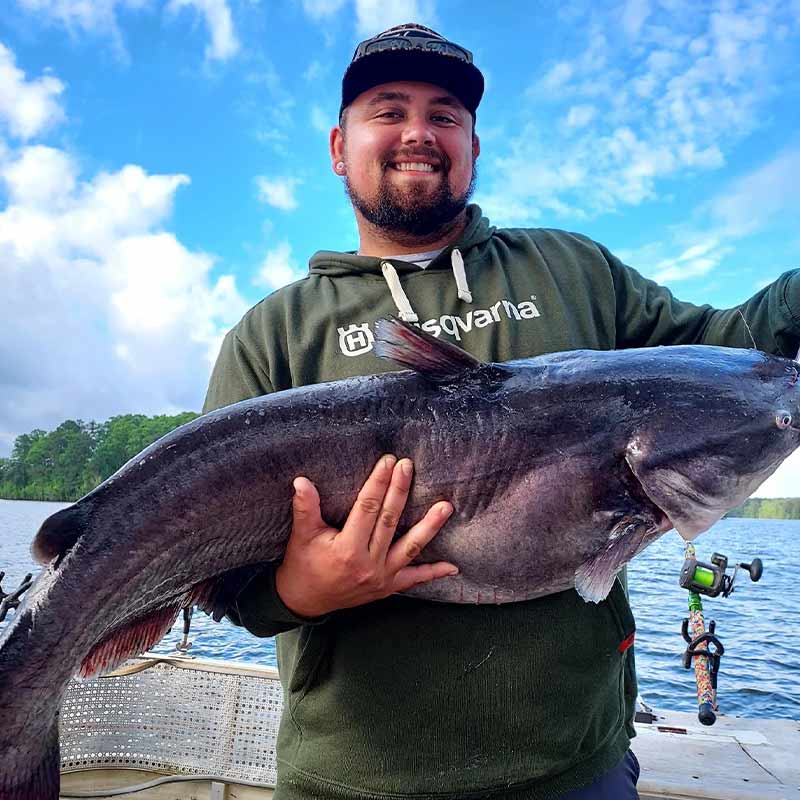 AHQ INSIDER Clarks Hill (GA/SC) 2023 Week 18 Fishing Report – Updated May 4