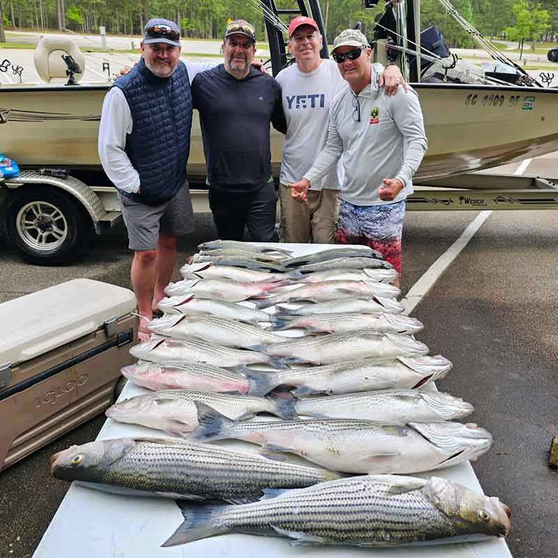AHQ INSIDER Clarks Hill (GA/SC) 2023 Week 16 Fishing Report – Updated April 20