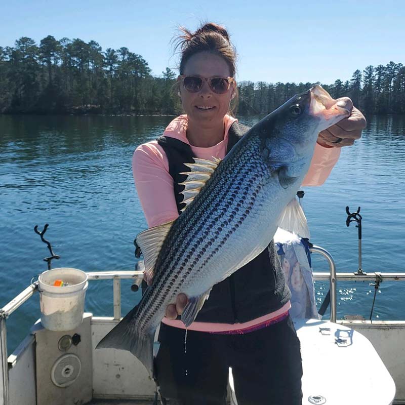 AHQ INSIDER Clarks Hill (GA/SC) Spring 2022 Fishing Report – Updated March 1