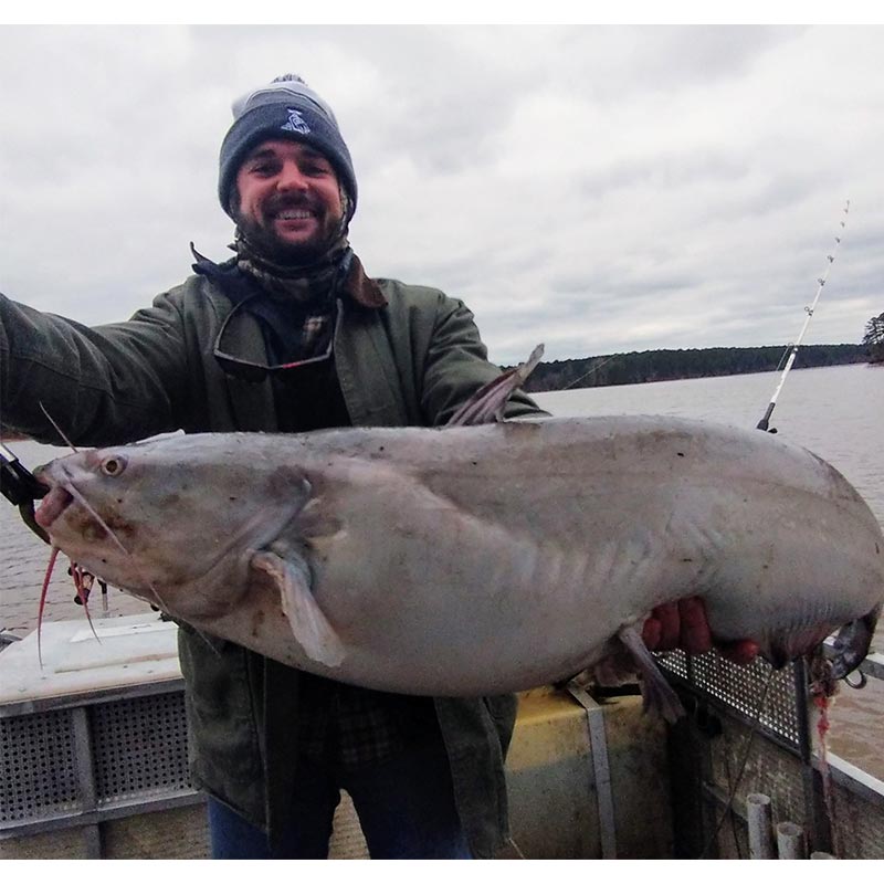 AHQ INSIDER Clarks Hill (GA/SC) Spring Fishing Report – Updated January 8