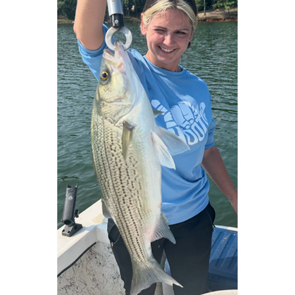 A big Savannah River hybrid - courtesy of Captain Chip Hamilton