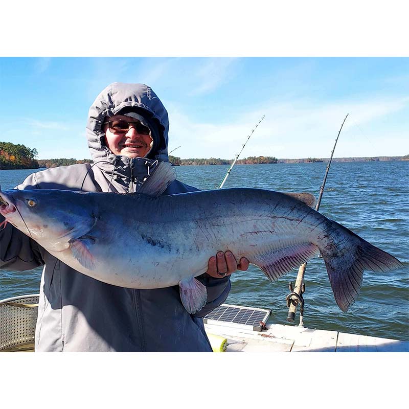 AHQ INSIDER Clarks Hill (GA/SC) Fall 2021 Fishing Report – Updated December 2