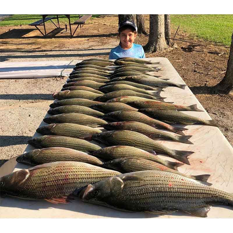 AHQ INSIDER Clarks Hill (GA/SC) Summer 2021 Fishing Report – Updated June 18