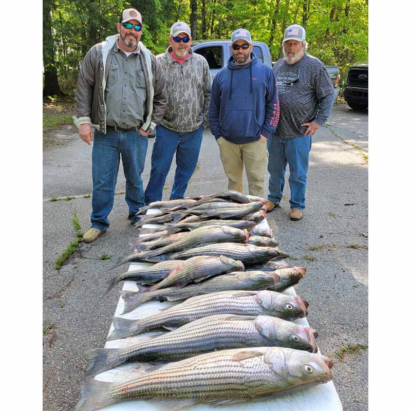 AHQ INSIDER Clarks Hill (GA/SC) 2022 Week 16 Fishing Report – Updated April 20