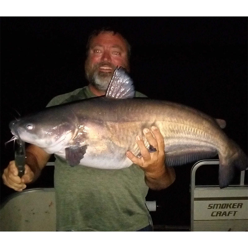 AHQ INSIDER Clarks Hill (GA/SC) 2023 Week 24 Fishing Report – Updated June 15