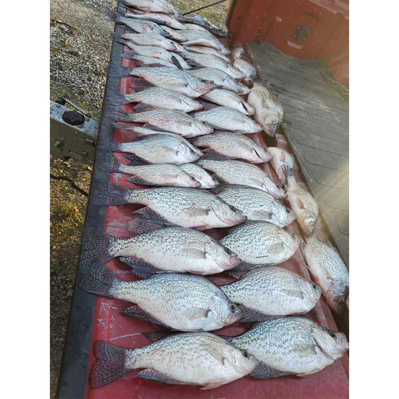 AHQ INSIDER Clarks Hill (GA/SC) 2023 Week 11 Fishing Report – Updated March 16