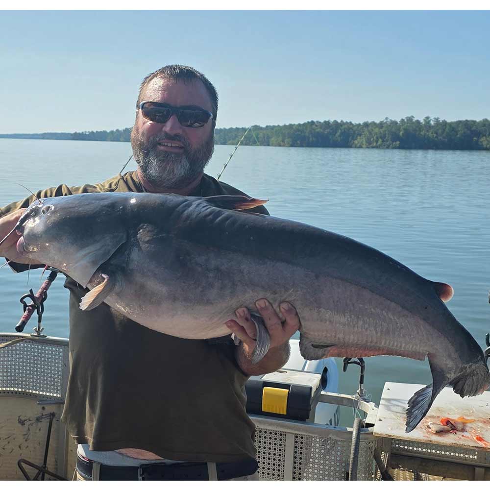 Captain Chris Simpson with a big 'un caught this week