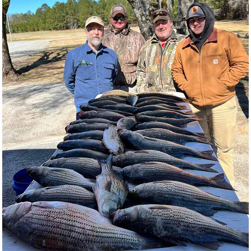 AHQ INSIDER Clarks Hill (GA/SC) Spring 2022 Fishing Report – Updated February 17