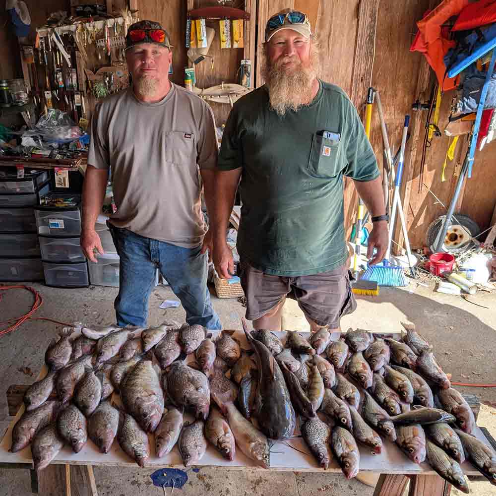 With Guide Luke Wilson 