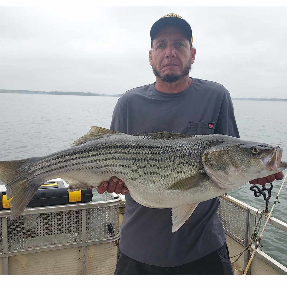 A 27-pound giant caught with Captain Chris Simpson 