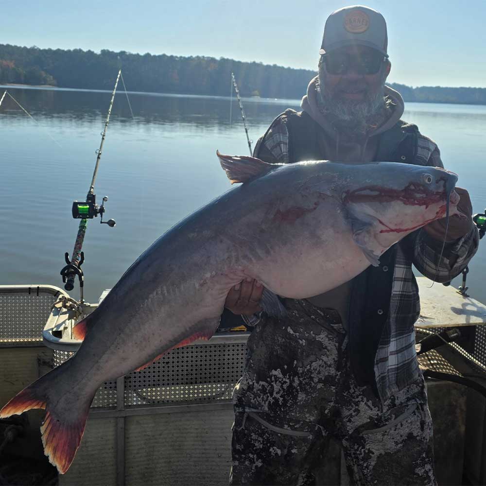 Another big caught this week with Captain Chris Simpson