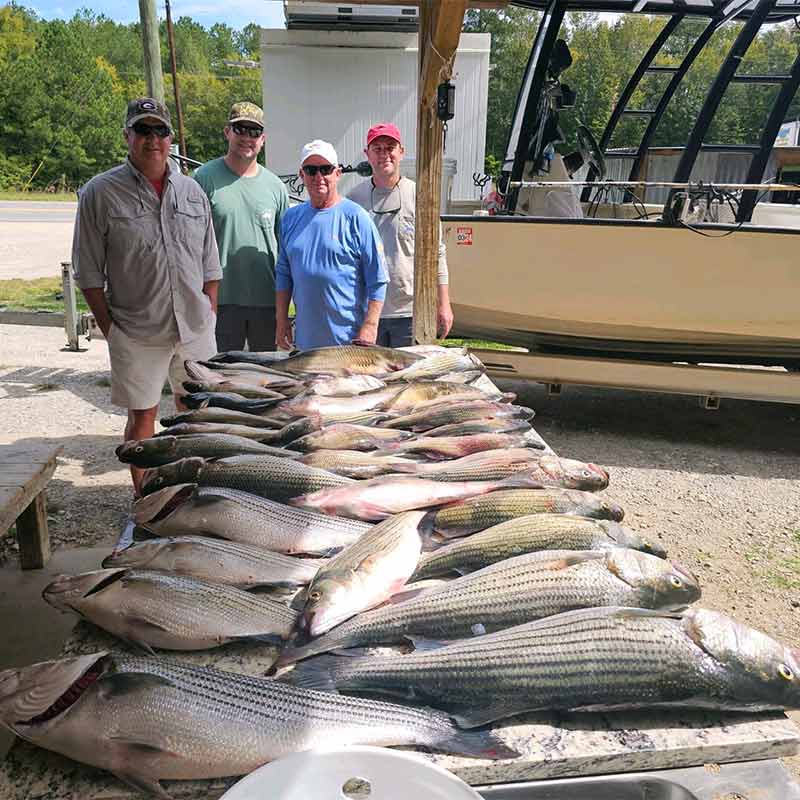 AHQ INSIDER Clarks Hill (GA/SC) 2024 Week 4 Fishing Report – Updated January 22