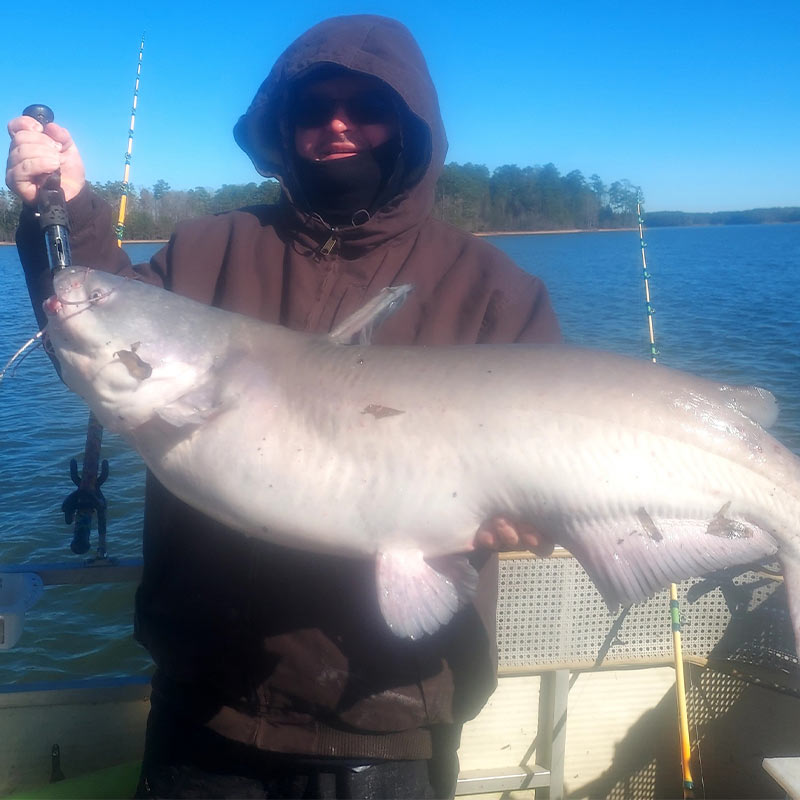 AHQ INSIDER Clarks Hill (GA/SC) 2022 Week 51 Fishing Report – Updated December 22