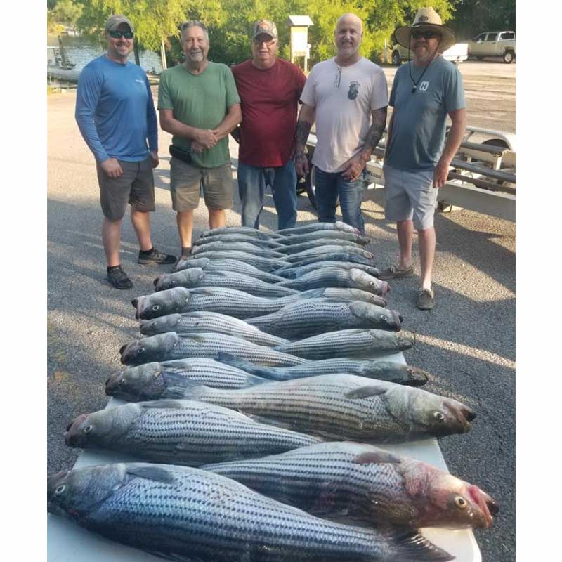 AHQ INSIDER Clarks Hill (GA/SC) 2022 Week 31 Fishing Report – Updated August 4