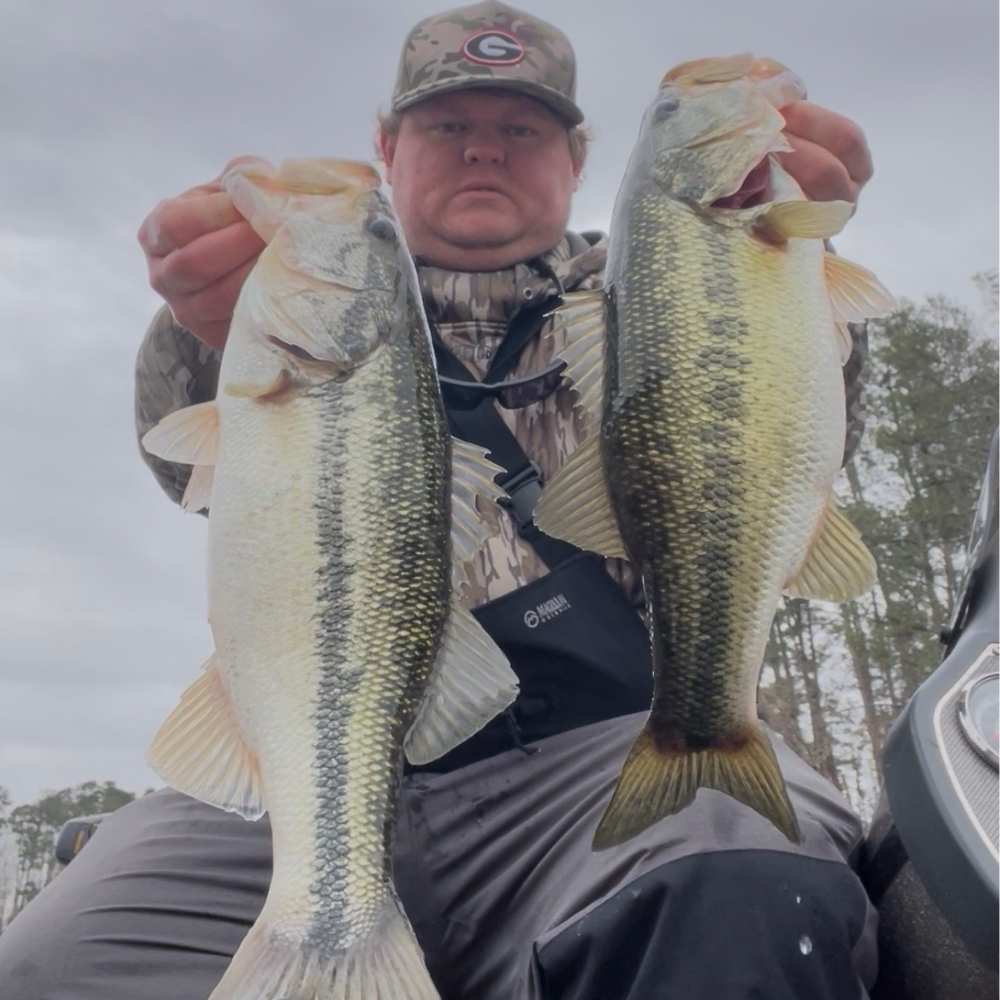 Tyler Matthews this week on The Hill 