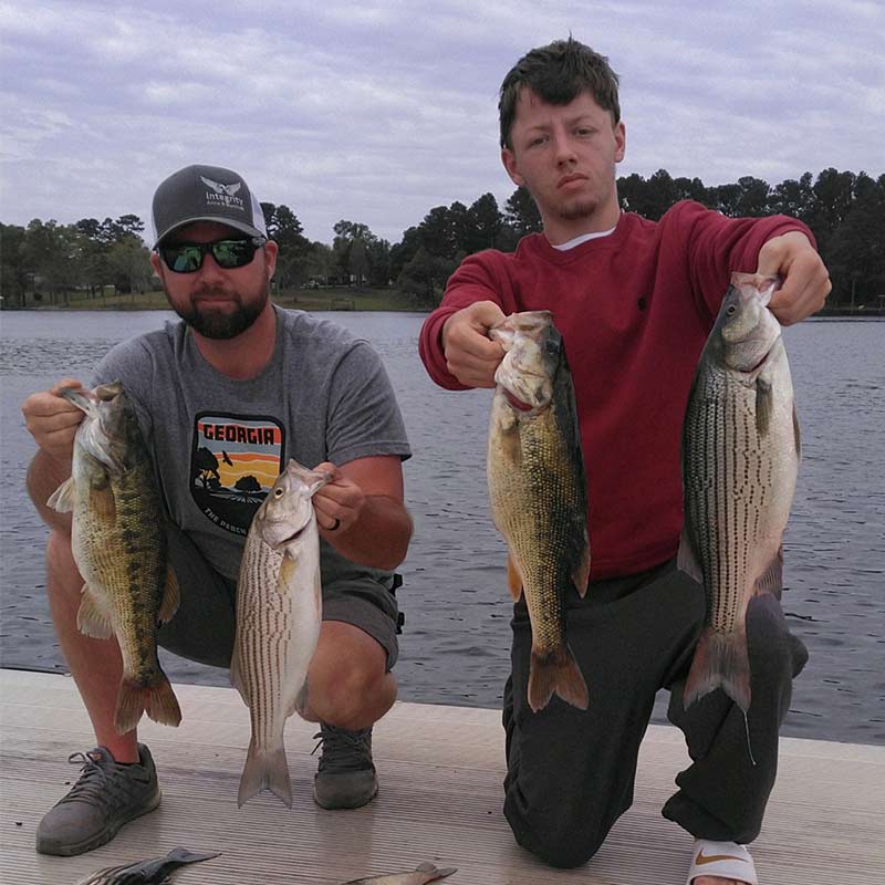 AHQ INSIDER Lake Russell (GA/SC) Spring 2021 Fishing Report – Updated April 16