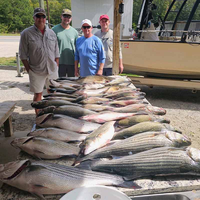 AHQ INSIDER Clarks Hill (GA/SC) 2023 Week 39 Fishing Report – Updated September 28