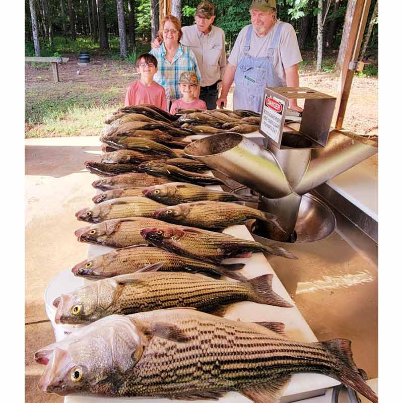 AHQ INSIDER Clarks Hill (GA/SC) 2022 Week 23 Fishing Report – Updated June 9