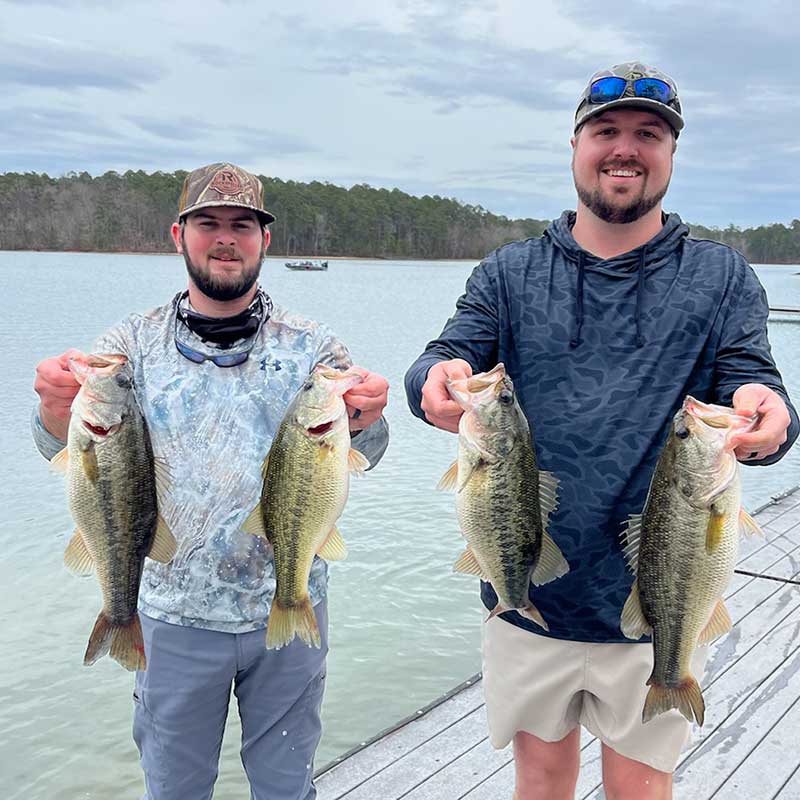 AHQ INSIDER Clarks Hill (GA/SC) 2024 Week 7 Fishing Report – Updated February 14