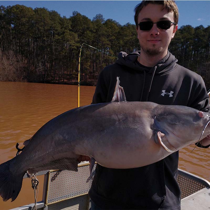 AHQ INSIDER Clarks Hill (GA/SC) Spring Fishing Report – Updated February 26