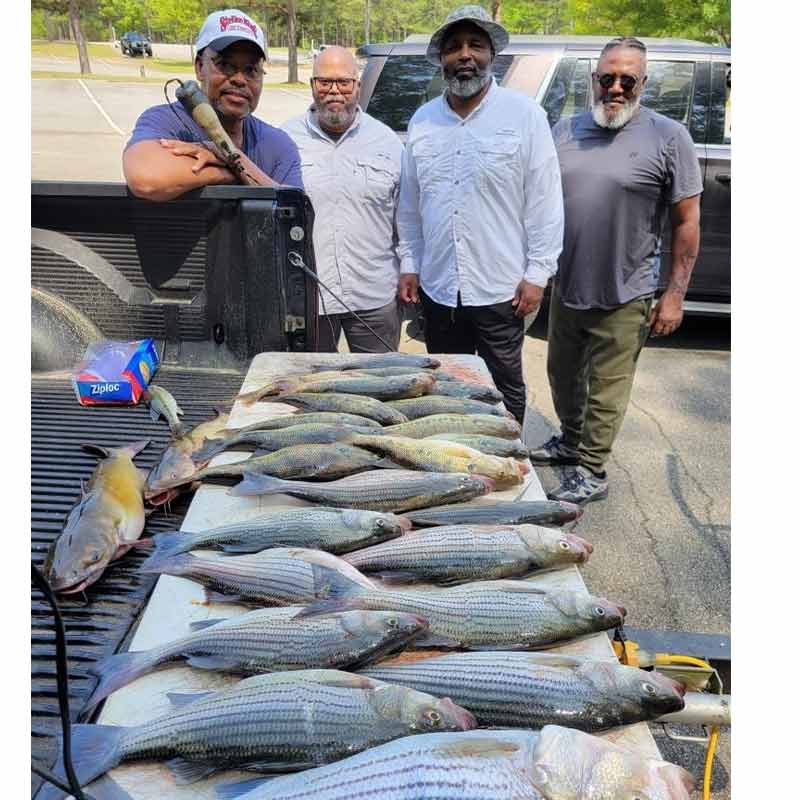 AHQ INSIDER Clarks Hill (GA/SC) 2023 Week 25 Fishing Report – Updated June 22