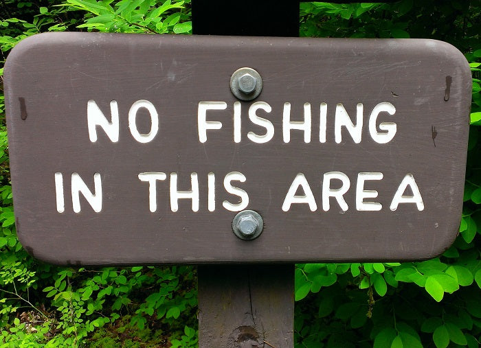 AHQ INSIDER Lake Monticello (SC) Spring 2020 Fishing Report – Updated March 30