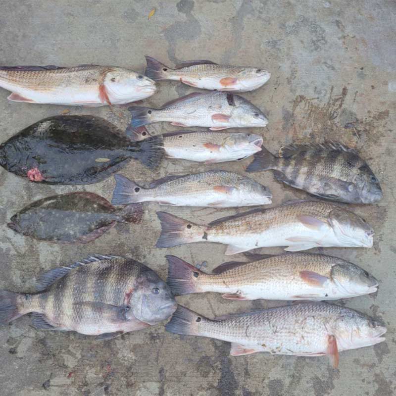 AHQ INSIDER Edisto Island (SC) Winter 2022 Fishing Report – Updated January 20