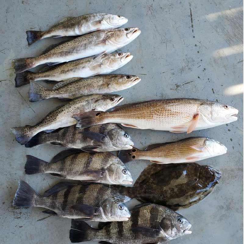 AHQ INSIDER Edisto Island (SC) Fall 2020 Fishing Report – Updated September 24