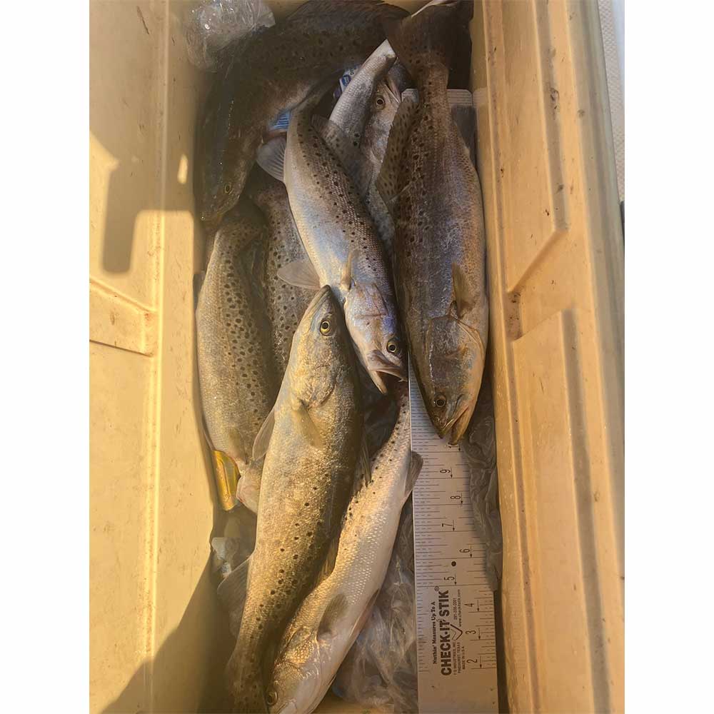 AHQ INSIDER Edisto Island (SC) 2024 Week 29 Fishing Report – Updated July 18