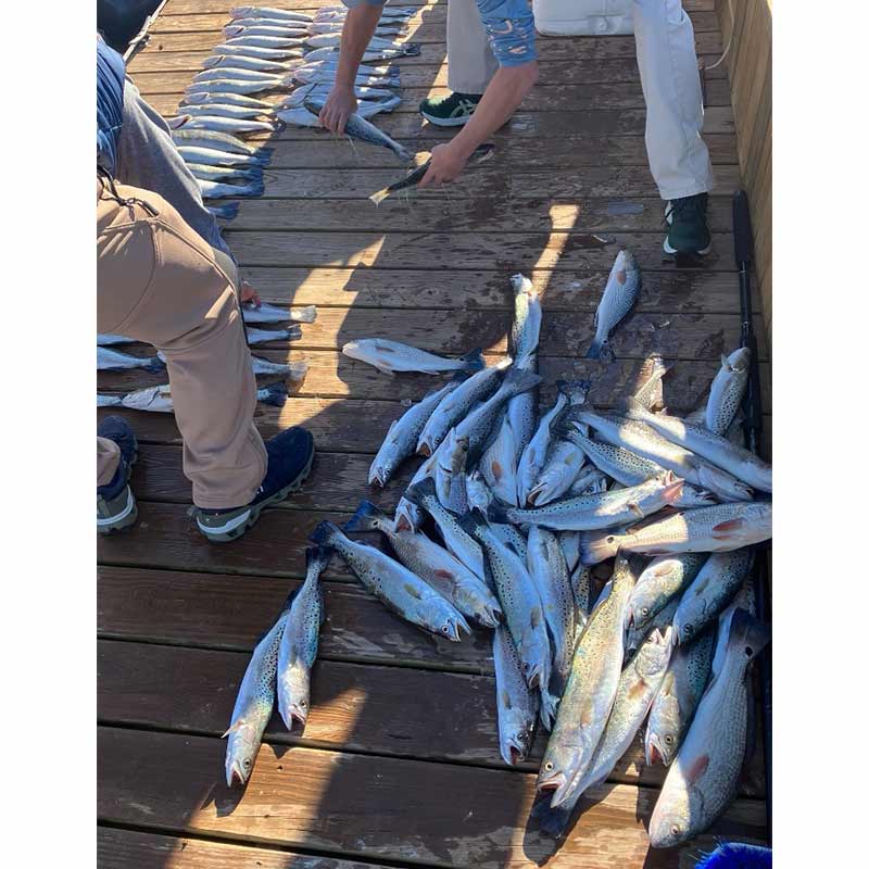 AHQ INSIDER Edisto Island (SC) 2023 Week 45 Fishing Report – Updated November 9