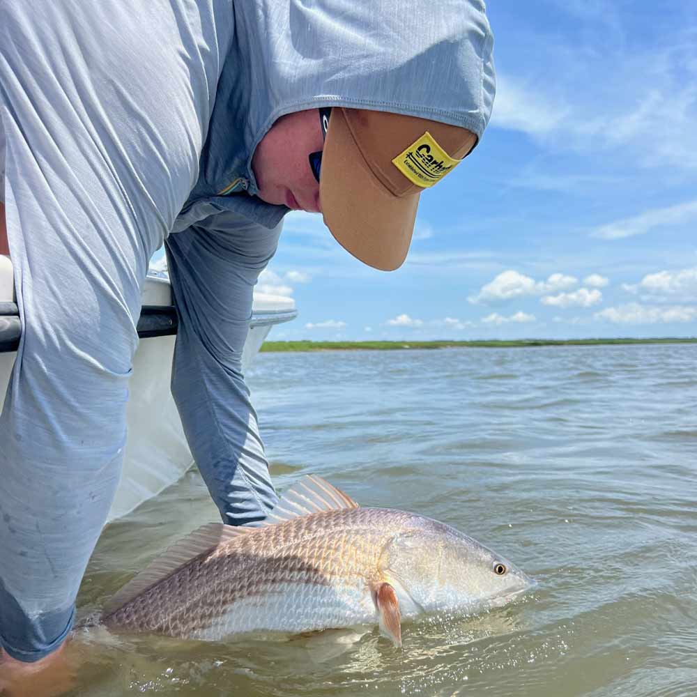 AHQ INSIDER Edisto Island (SC) 2025 Week 25 Fishing Report – Updated June 19