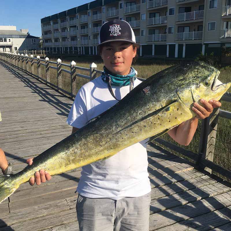 AHQ INSIDER Edisto Island (SC) Spring 2020 Fishing Report – Updated May 13