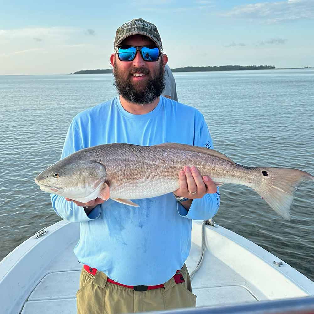A nice Edisto redfish caught with Captain Ron Davis, Jr. 