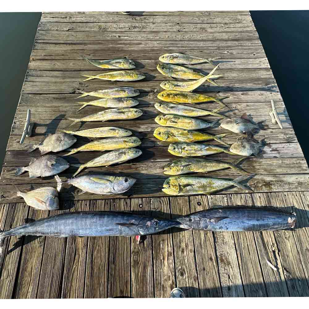 This week out of Edisto, courtesy of Captain Ron Davis, Jr. 