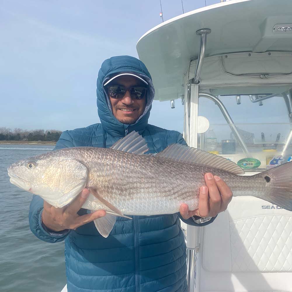 Photo courtesy of Captain Addison Rupert