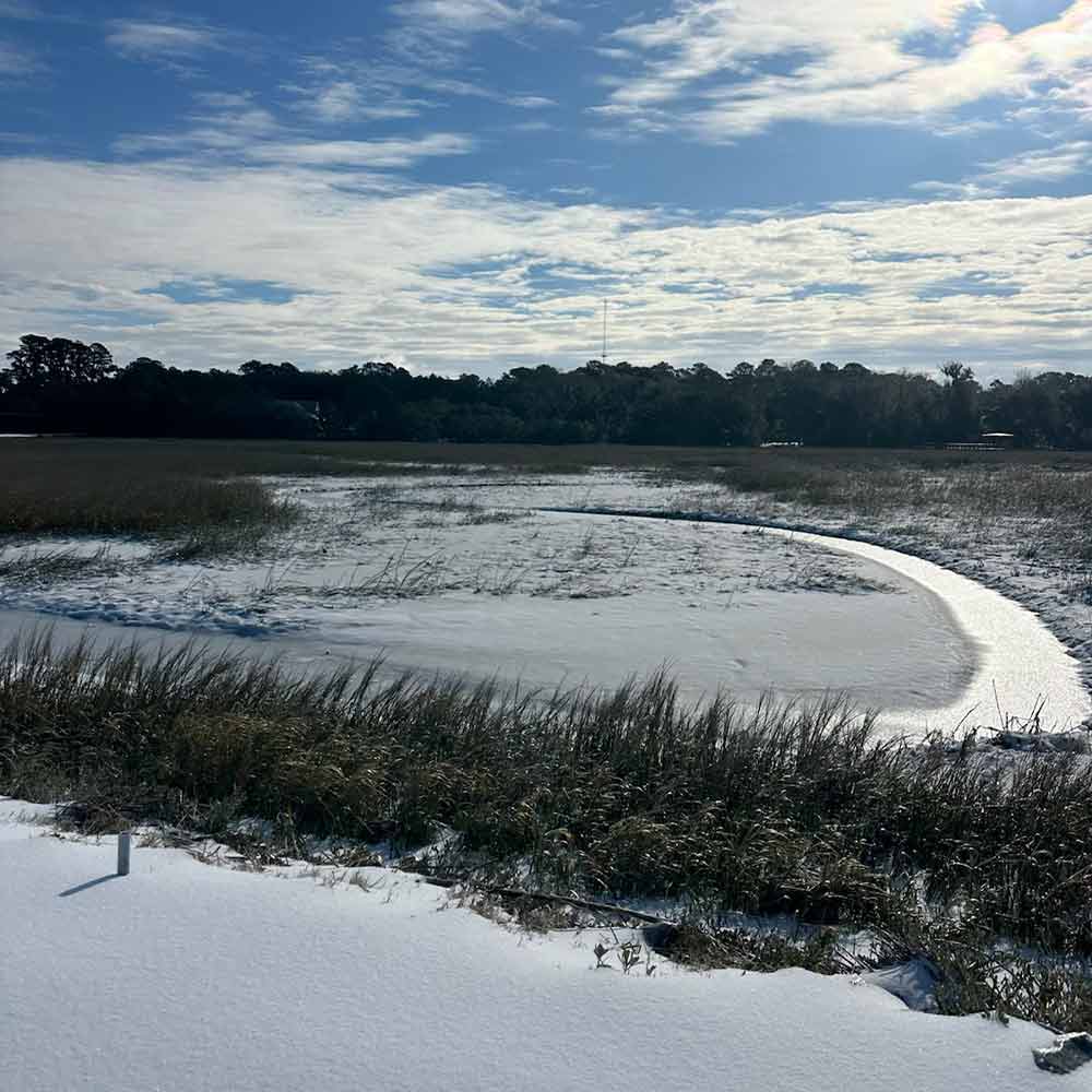 AHQ INSIDER Georgetown (SC) 2025 Week 5 Fishing Report – Updated January 29