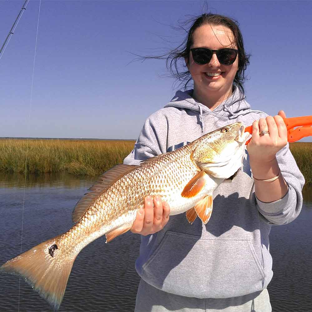 AHQ INSIDER Georgetown (SC) 2024 Week 46 Fishing Report – Updated November 13