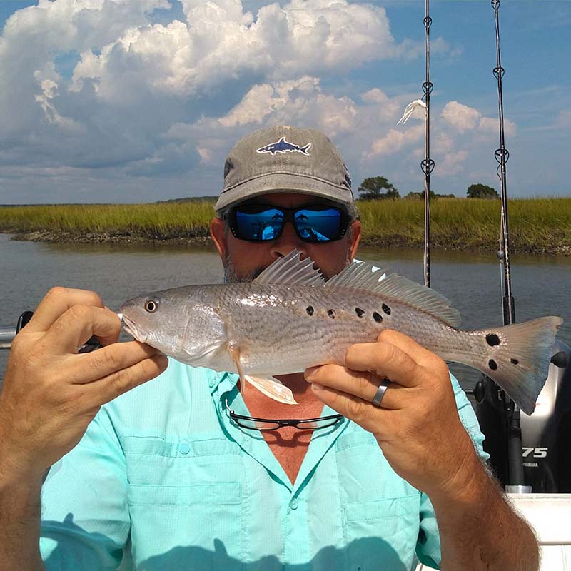 AHQ INSIDER Georgetown (SC) 2023 Week 38 Fishing Report – Updated September 22