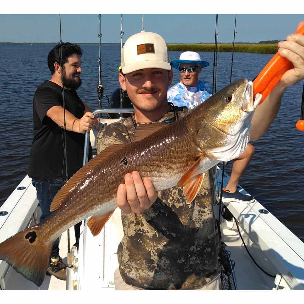 Caught up the rivers in Georgetown with Captain Greg Holmes 