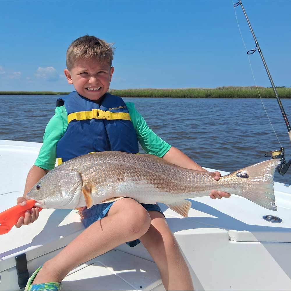 AHQ INSIDER Georgetown (SC) 2025 Week 26 Fishing Report – Updated June 26