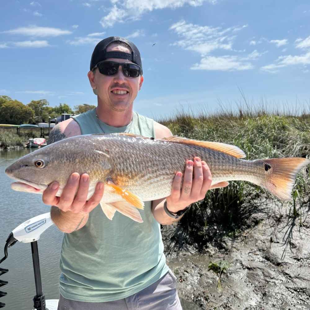 AHQ INSIDER Georgetown (SC) 2026 Week 14 Fishing Report – Updated April 3